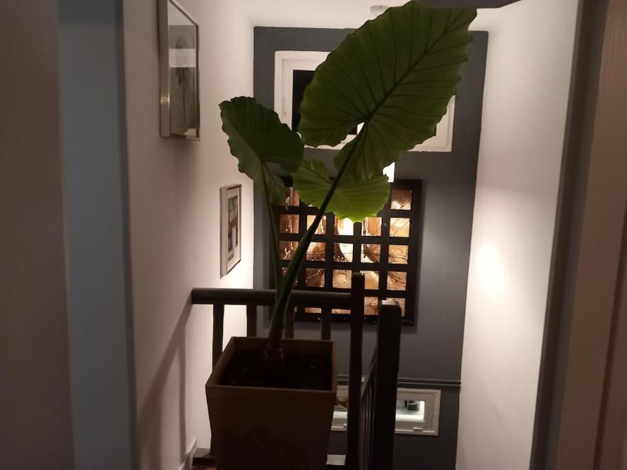 Maison Cosy - 4 Chambres Doubles แบร์เฌอรัก ภายนอก รูปภาพ